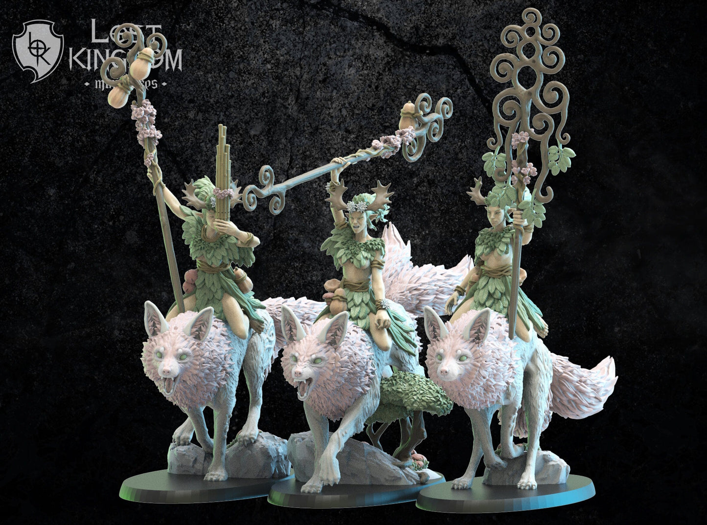 Nibi Riders Command Group