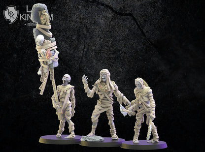 Damned Regiment Command Group