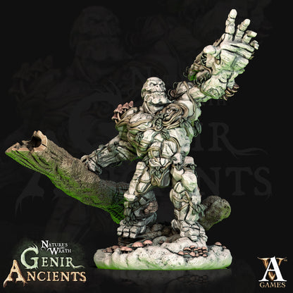 Forest Elementals