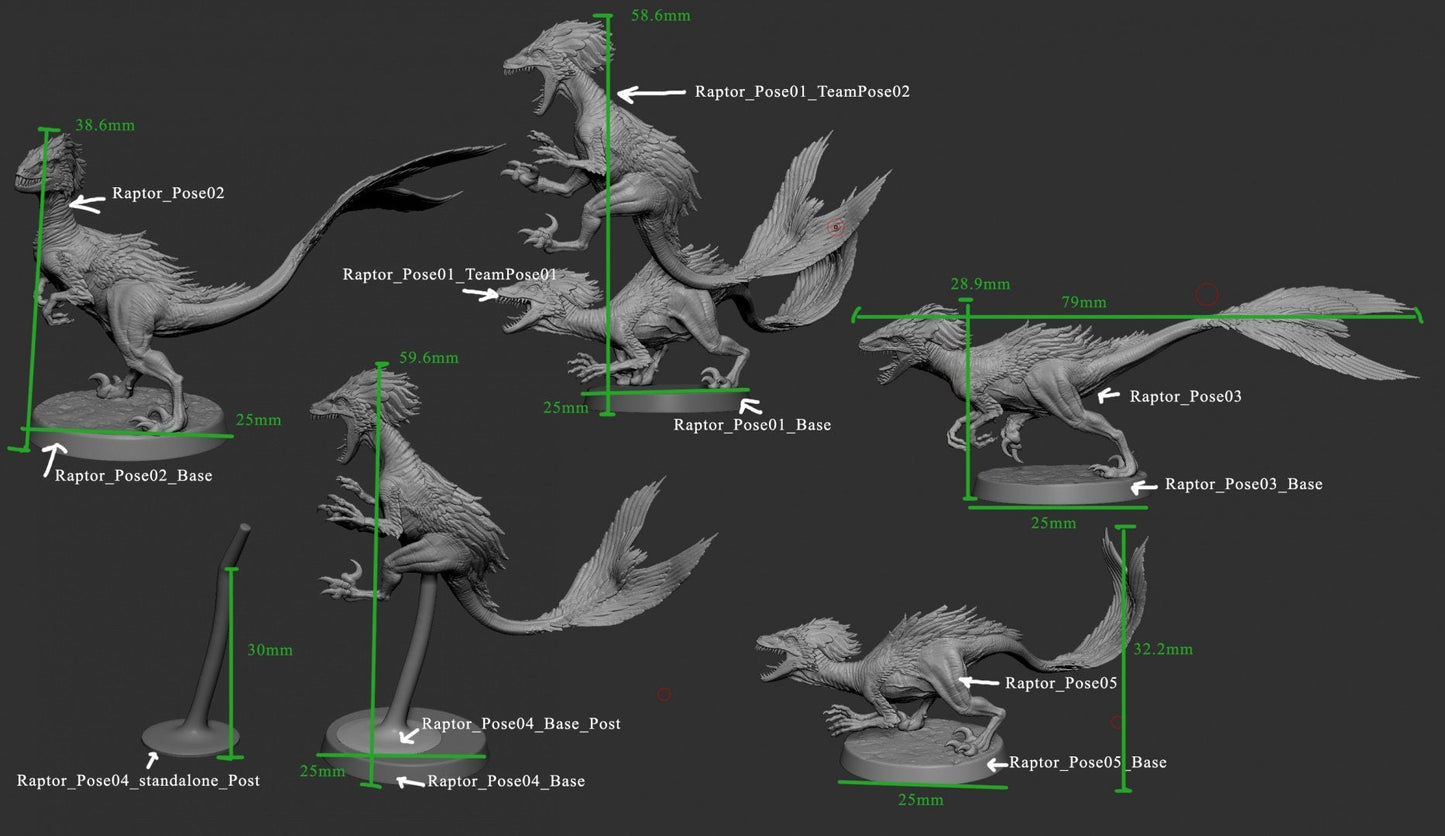 Feathered Raptors