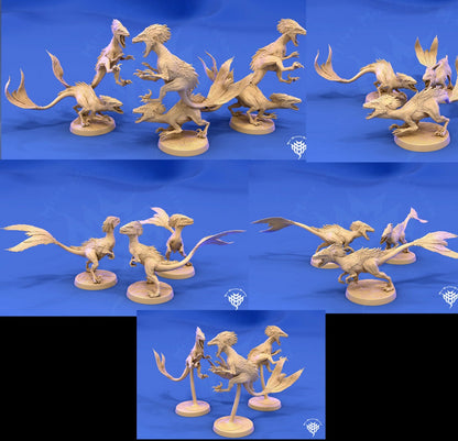 Feathered Raptors