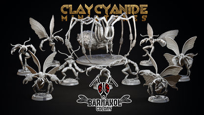 Colony of Barnakol