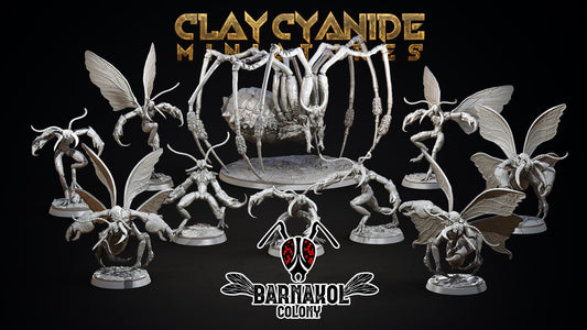 Colony of Barnakol