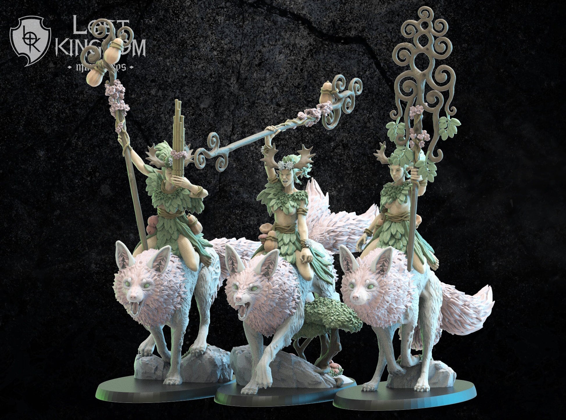 Nibi Riders Command Group