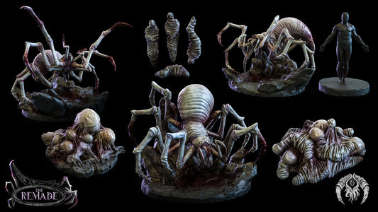 Cave Spider